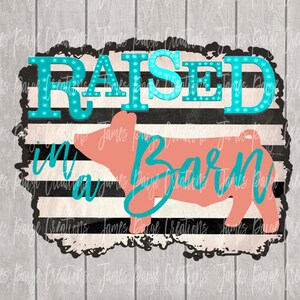 Raised In A Barn Digital File | Show Pig Sublimation | Show Pig Design PIG Transfer | Livestock Show Design | Stock Show Mom | Digital Print
