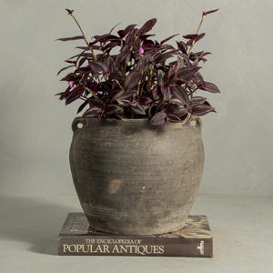 Vintage Clay Pottery Terracotta Vessel Handmade Earthenware Wabi Sabi Home Decor Vase {L/M w/Handles} (Free Shipping)