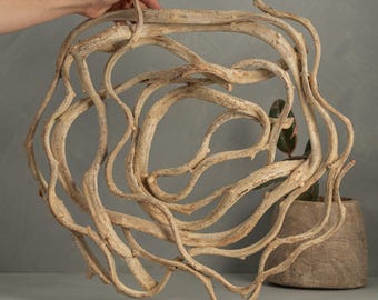 Tangled Thai Vine Swirly Wall Art (Free Shipping)