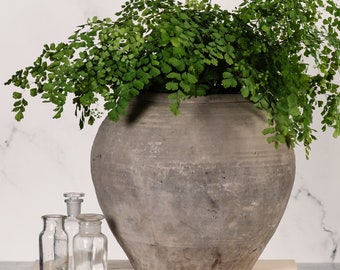 May include: A large, weathered gray ceramic pot overflowing with vibrant green maidenhair fern. Three small, clear glass bottles sit on a book with the title "REMBRANDT" in gold lettering. The arrangement is set against a white marble background.
