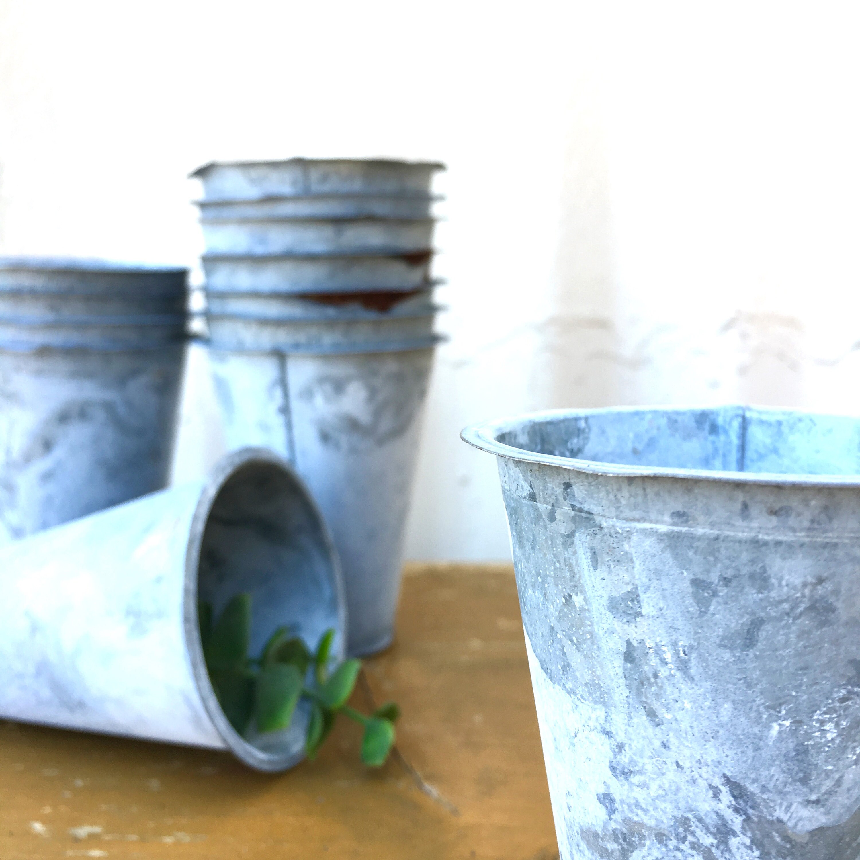 Zinc Cup Insert Made to Fit Perfectly in Sugar Mold