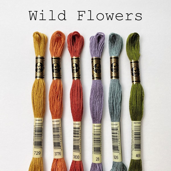 Wild Flowers DMC Thread Palette, 6 Skeins Cotton Embroidery Floss, 6 ply Cotton Thread, Rainbow