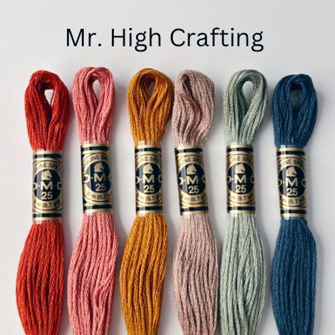 Mr. High Crafting DMC Thread Palette, 6 Skeins Cotton Embroidery Floss ...