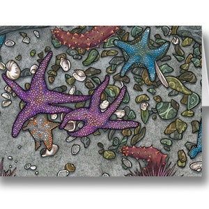 Star Gazing (Sea Life) - Greeting Card / Art Card