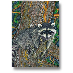 Bandit (raton laveur) - Carte de vœux / Carte d’art