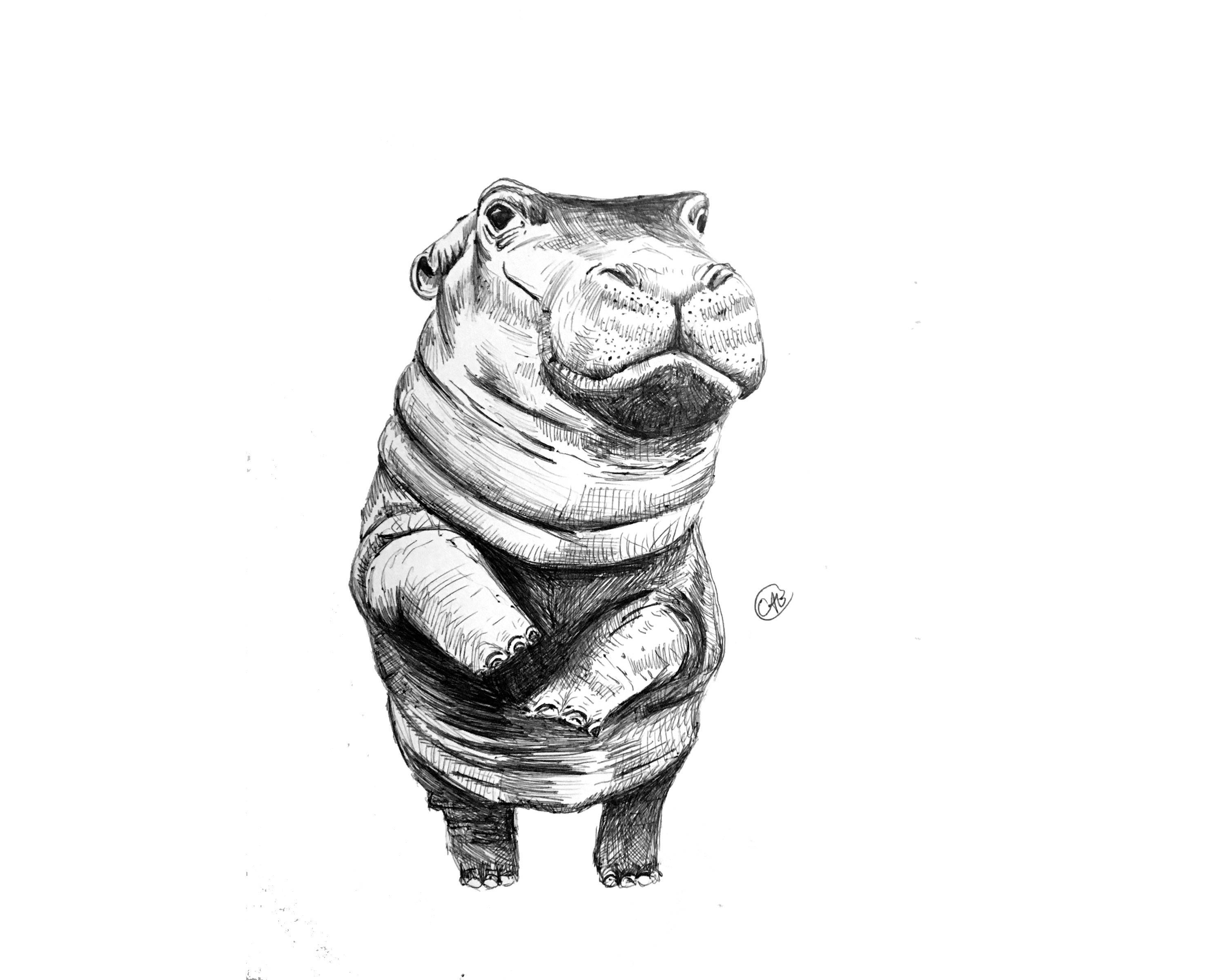 Fiona the Hippo Print | Etsy