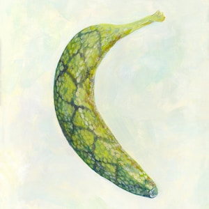 May include: A green banana with a snake skin pattern painted on it. The banana is on a white background.