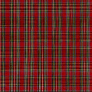 May include: Red, green, yellow, and blue plaid fabric with a woven texture.