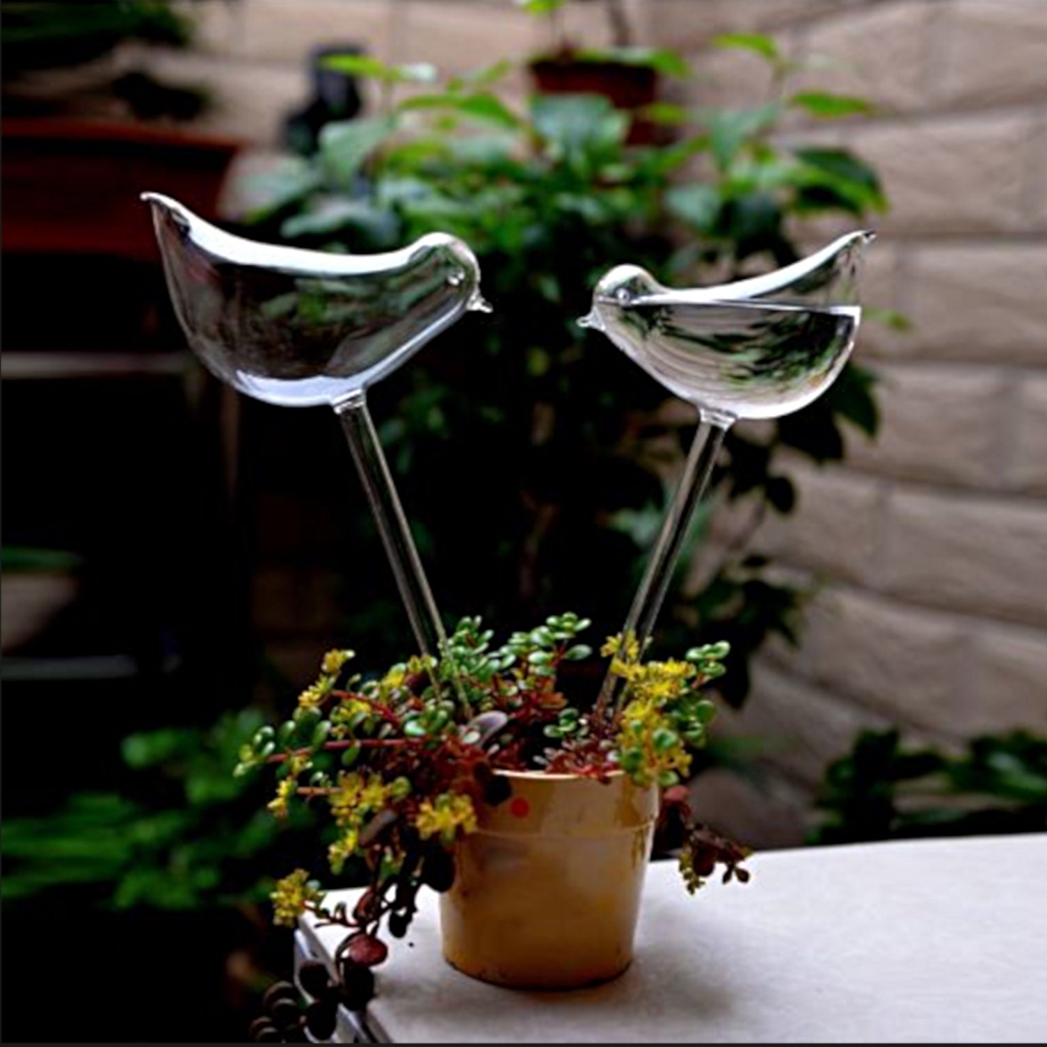 2x Water Feeder Plant Watering Glass Birds Water Pipe Flower Etsy