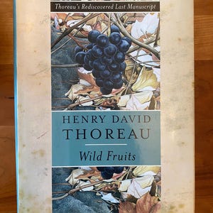 Wild Fruits by Henry David Thoreau - Norton 2000