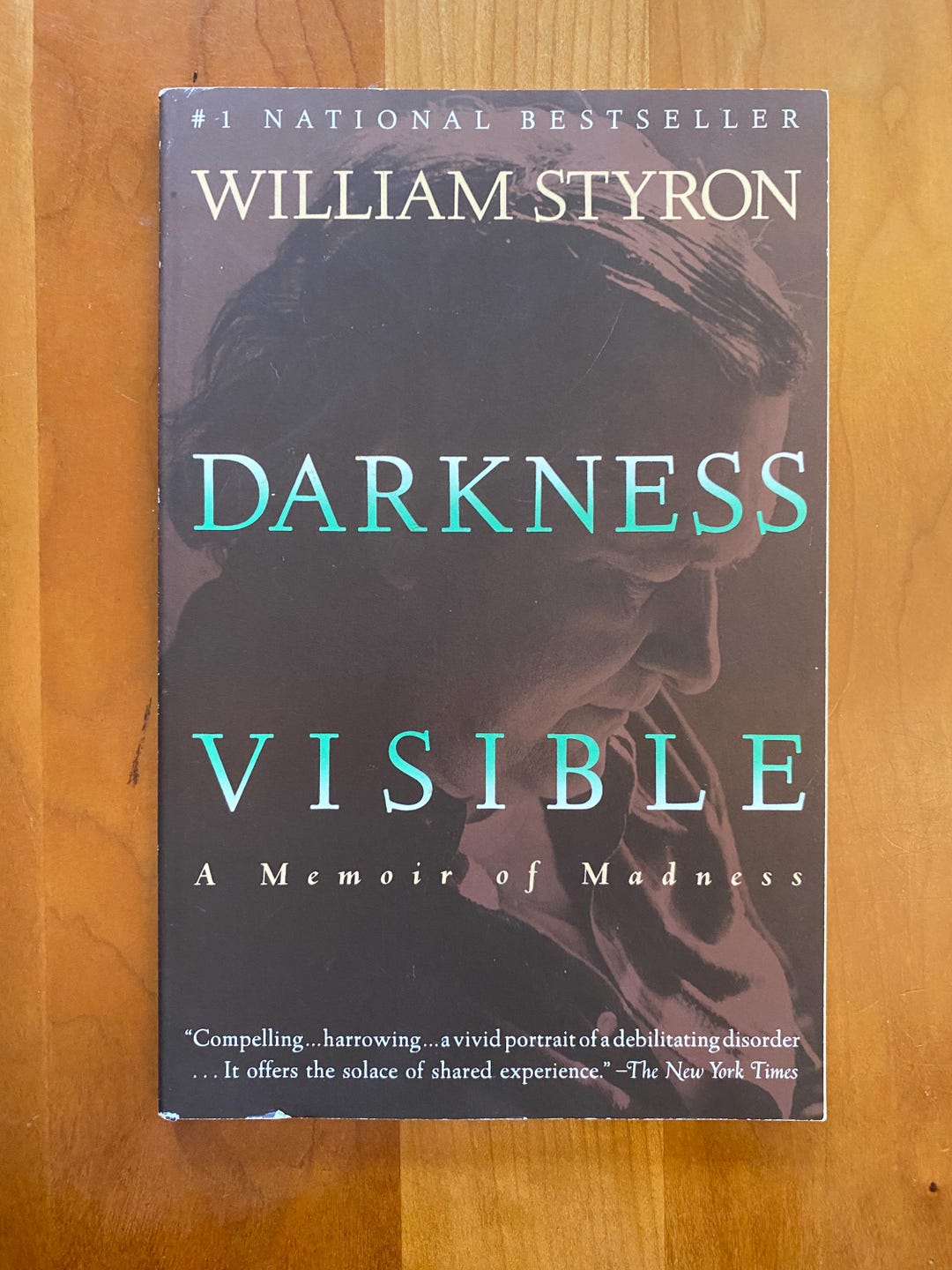 Darkness Visible A Memoir of Madness by William Styron - Vintage International 1992 - Etsy