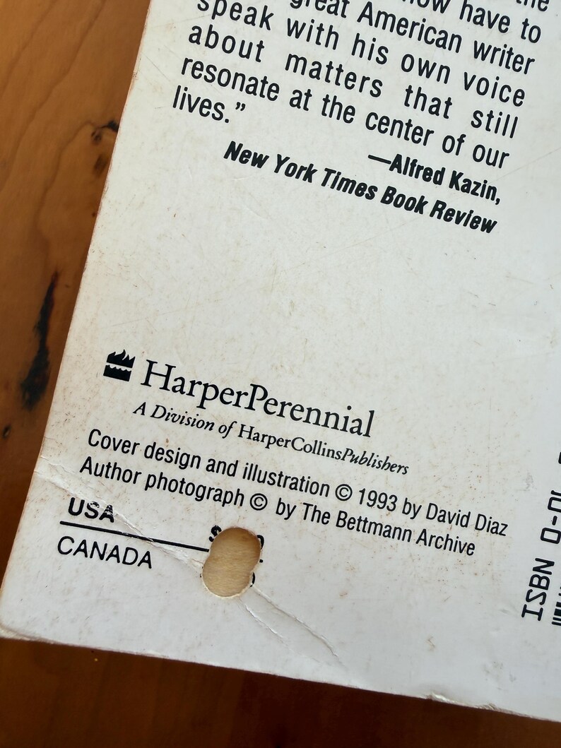 Op de afbeelding: Close-up van de achterkant van een boek met tekst uit de New York Times Book Review. Het HarperPerennial-logo is zichtbaar, samen met copyrightinformatie uit 1993. De omslag is gebroken wit met een klein gaatje.