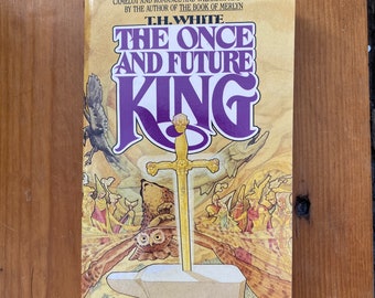 Stephen King *SIGNED LTD 1ST ED* WIZARD AND GLASS #529 Dark