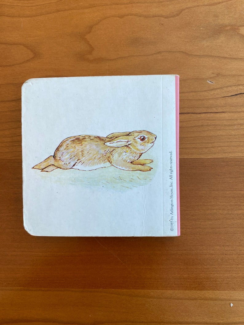 L'histoire d'un mauvais lapin féroce de Beatrix Potter Chatham River Press Mini livre cartonné abrégé image 2