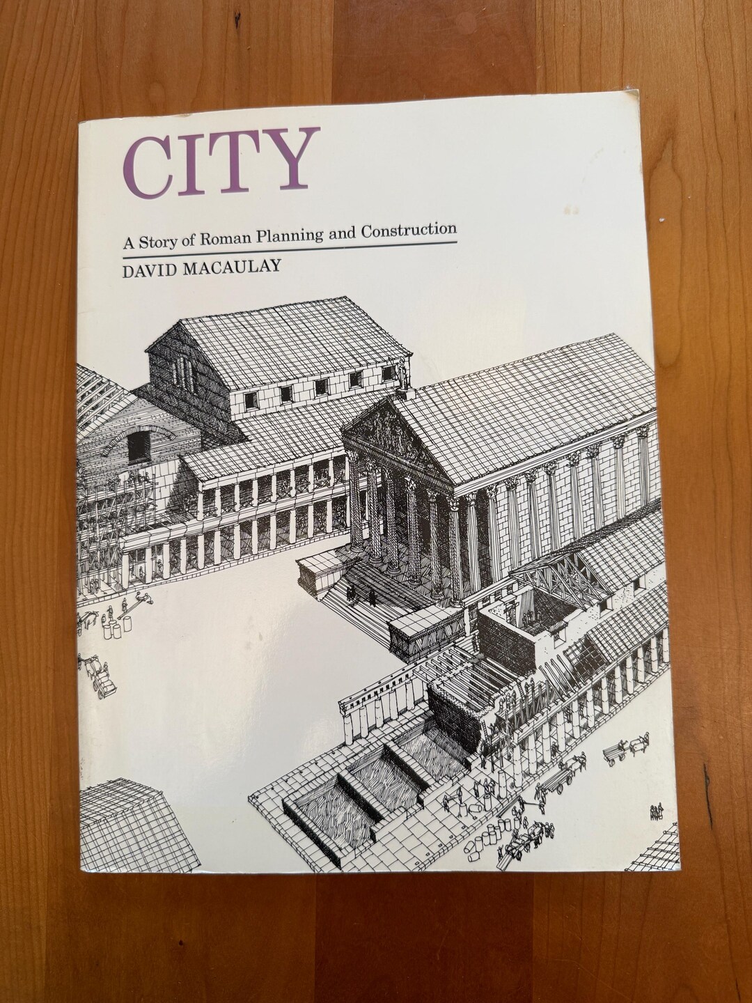 City - A Story of Roman Planning and Construction by David Maccauley ...