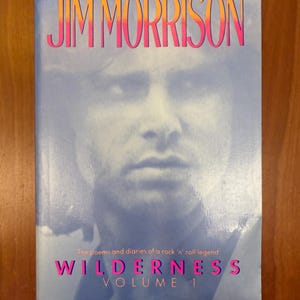 Puede incluir: Portada de libro con un retrato en blanco y negro de un hombre. El título "The Lost Writings of Jim Morrison" está en naranja y rosa. El libro se titula "Wilderness Volume 1" en rosa. Se describe como un éxito de ventas nacional.
