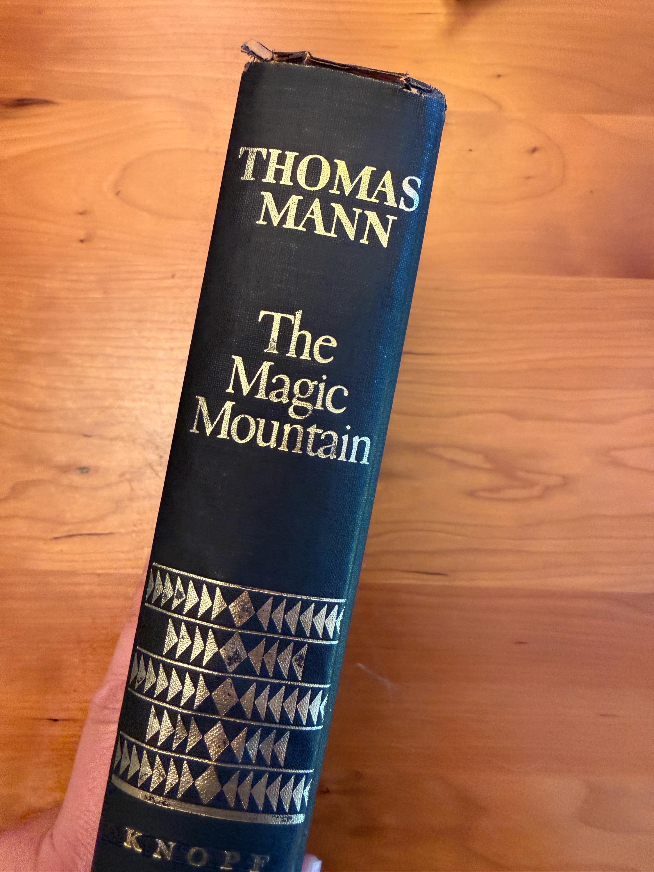 The Magic Mountain by Thomas Mann - 1963 Knopf - Etsy Denmark