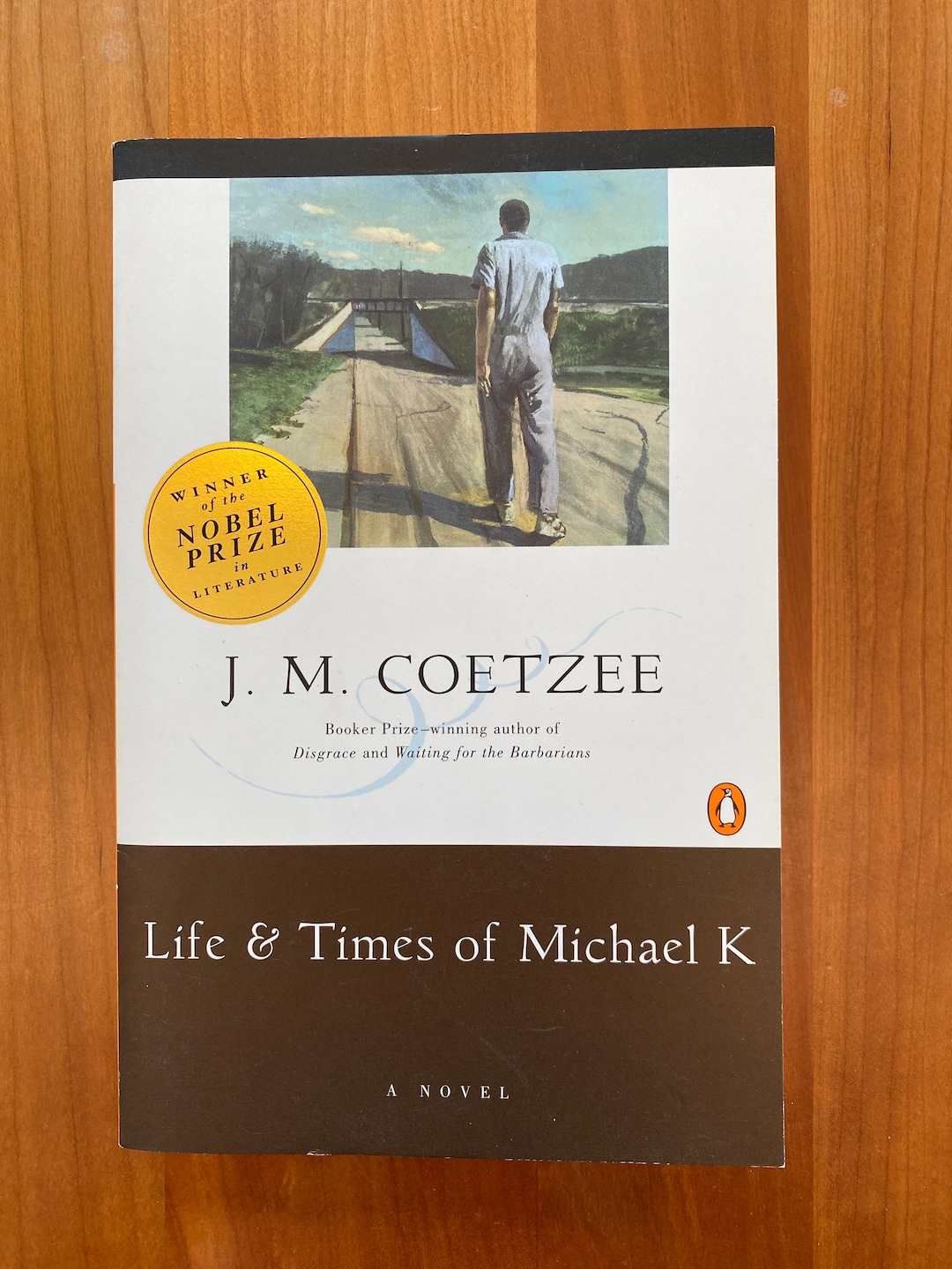 Life and Times of Michael K. by J.M. Coetzee - 1985 Penguin Paperback - Etsy