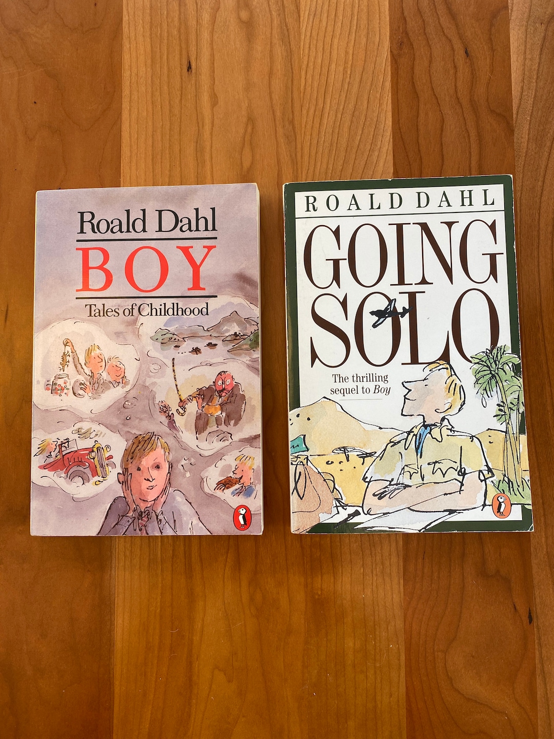 Boy and Going Solo by Roald Dahl - Penguin Books - Etsy