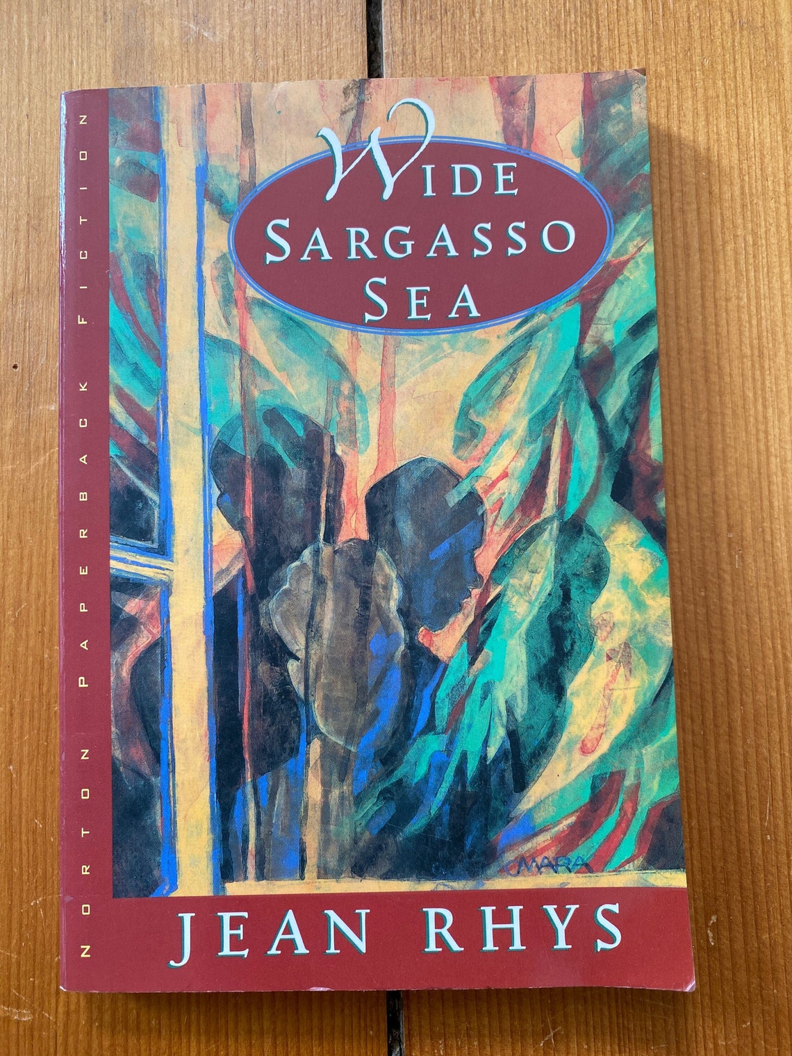 Wide Sargasso Sea By Jean Rhys Norton Paperback 1992 Etsy Uk 