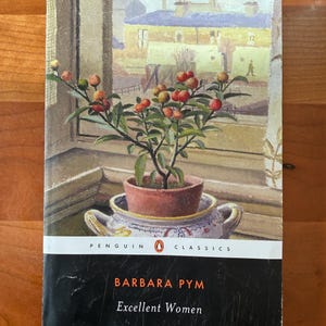 Puede incluir: Portada del libro "Excellent Women" de Barbara Pym, publicado por Penguin Classics. La imagen muestra una planta en maceta con bayas rojas frente a una ventana, con una vista de edificios.