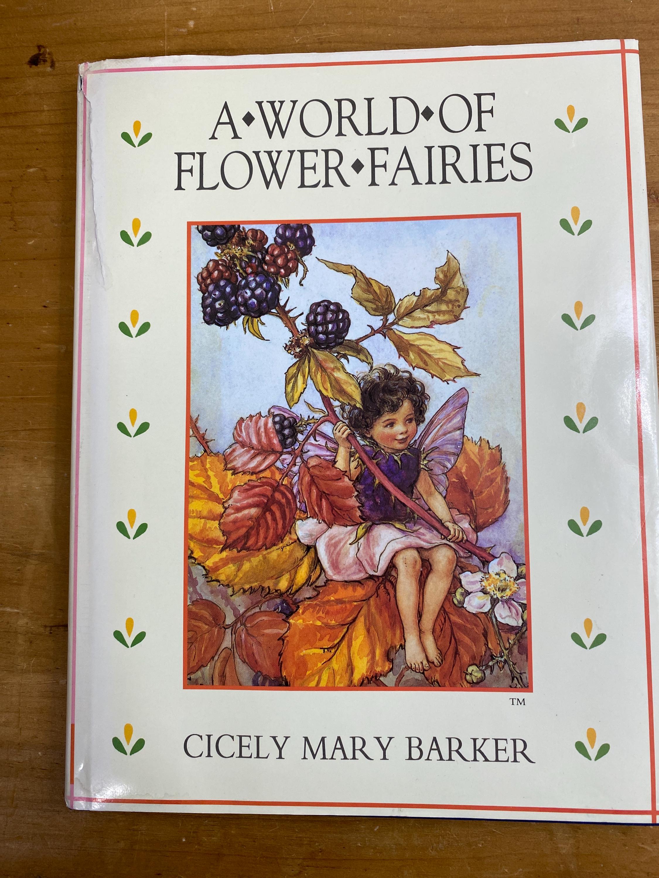 A World of Flower Fairies by Cicely Mary Barker - 1992 Warne - Etsy