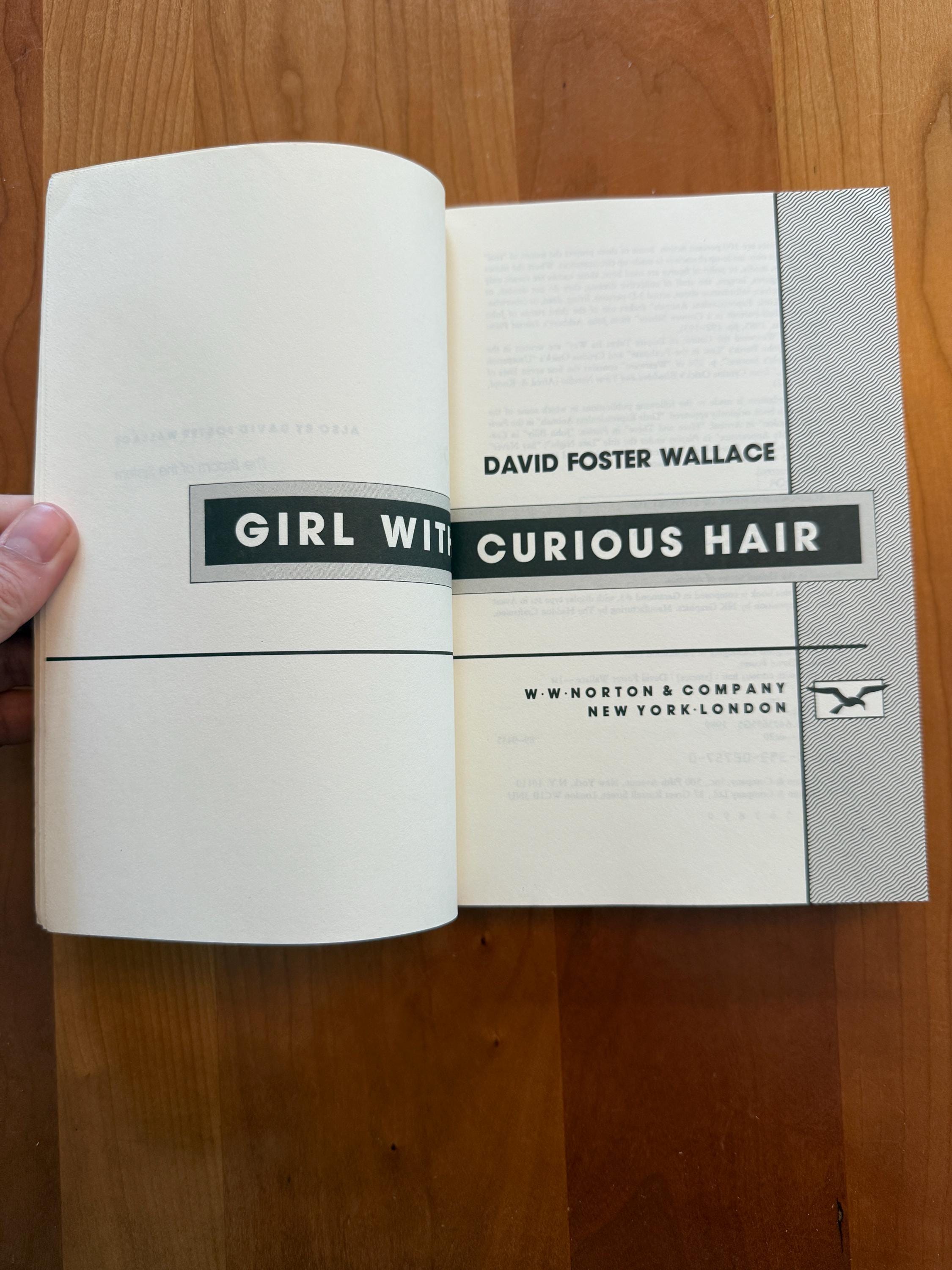 Girl With Curious Hair by David Foster Wallace - Norton 1996 - Etsy