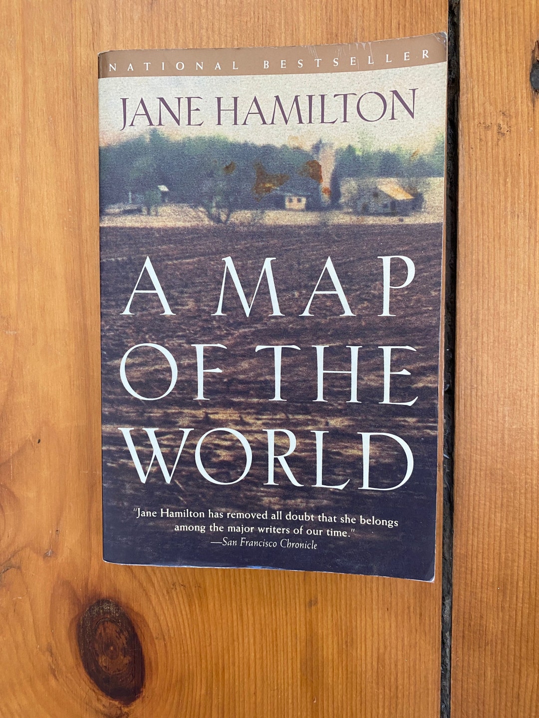A Map of the World by Jane Hamilton - 1995 Anchor Paperback - Etsy