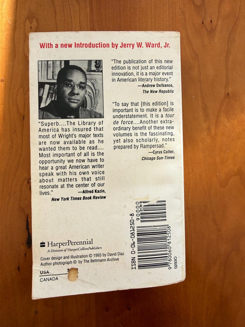 Op de afbeelding: Achterkant van een paperback boek met een portret en tekst. De witte omslag heeft zwarte tekst, inclusief recensies en het logo van de uitgever. Titel en auteur van het boek zijn niet zichtbaar. De omslag is licht beschadigd.