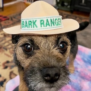 May include: A brown and black terrier dog wearing a tan hat with a green band that says "Bark Ranger".