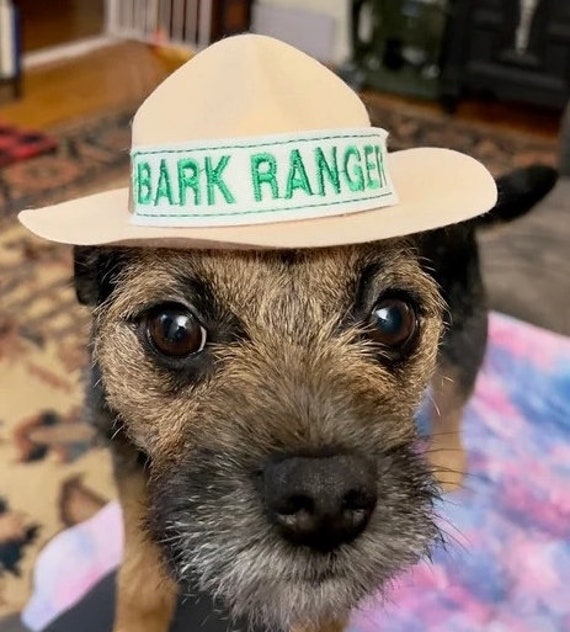 Park Ranger Mini Hat: Embroidered Costume Hat for Adults, Children