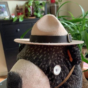 Park Ranger Mini Hat: Embroidered Costume Hat for Adults, Children, Pets image 10