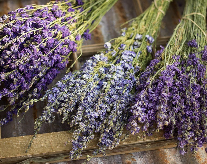 SALE Dried Larkspur NEW CROP Larkspur Dried Flowers Dried Etsy