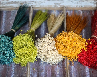 Dried Flowers , Wedding White Star Flowers , Blue Starflowers , Green and Red Starflowers , Dried Flower Bundle , Wedding Dried Flowers