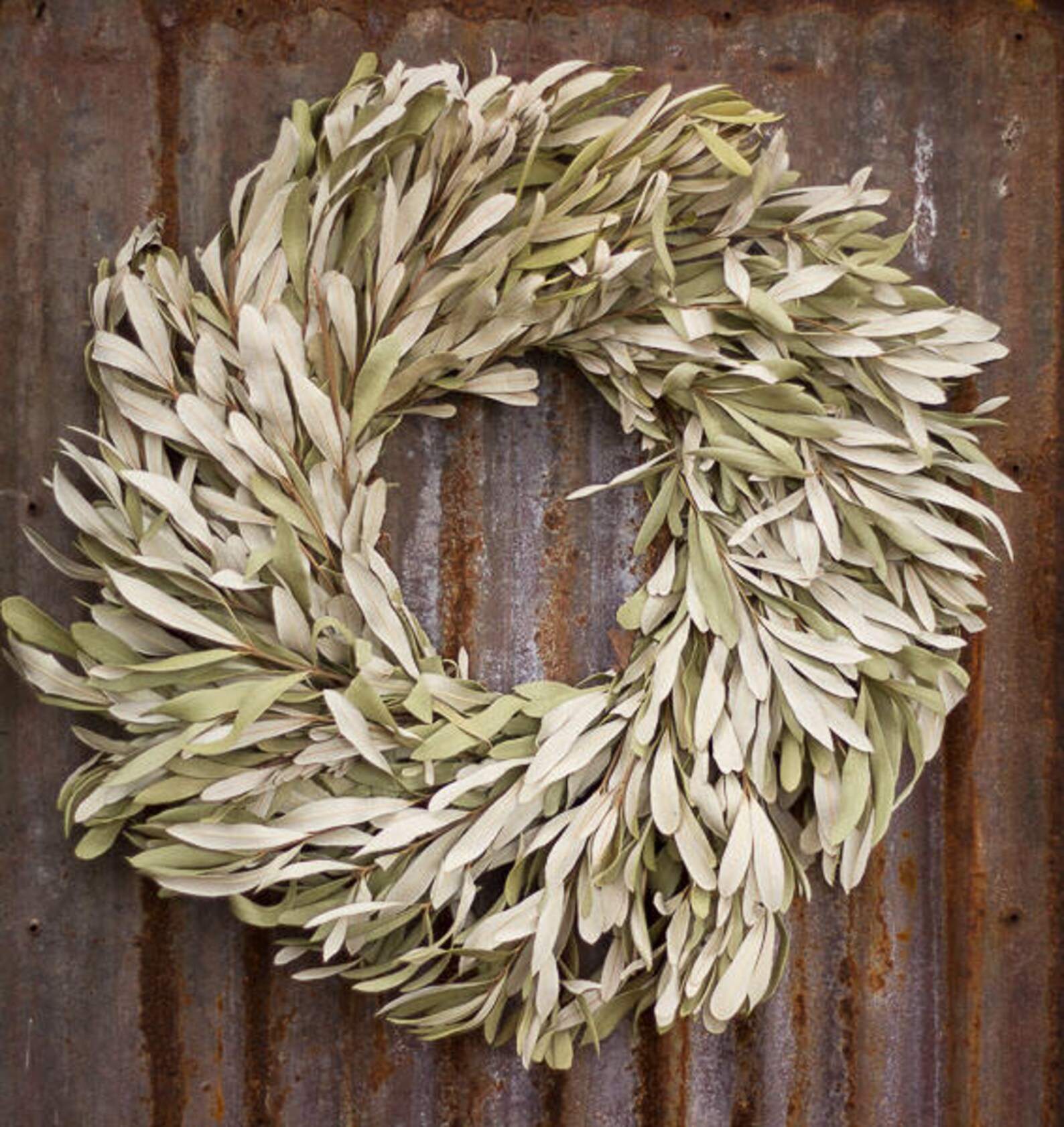 Integrefolia Wreath Dried Sage Wreath Mountain Sage Wreath Etsy