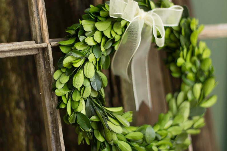 Dried Flowers Preserved 8 Boxwood Boxwood Boxwood for Wedding Natural Boxwood Wreath With Ribbon Boxwood Etsy Boxwood Wreath