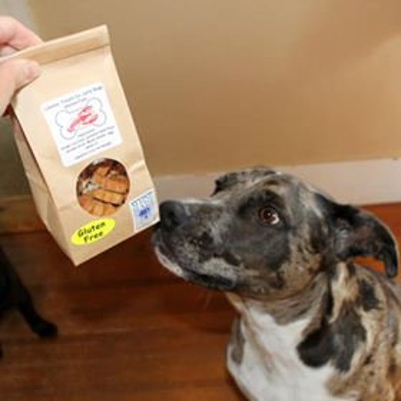 Gluten Free Lobster Treats for Salty Dogs 5 Oz Bag Etsy