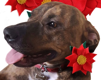 Felt Poinsettia Dog Collar Flower: Festive Christmas Pet Accessory