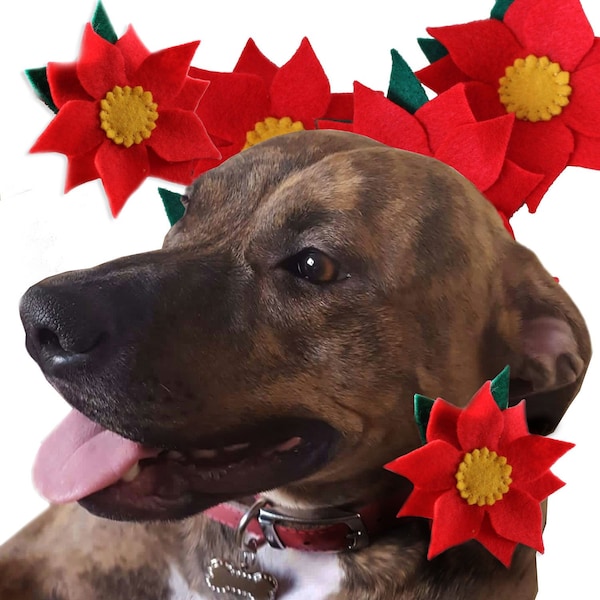 Christmas Dog Collar Decoration, Felt Poinsettia Flower Collar Corsage, Festive Dog Fashion, Dog and Owner Gifts