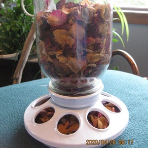 Może przedstawiać: Biały ceramiczny karmnik dla kur z szklanym słojem wypełnionym suszonymi płatkami róż. Karmnik ma sześć przegródek, do których mogą spadać płatki. Data 2020/04/26 08:17 jest nadrukowana na spodzie karmnika.