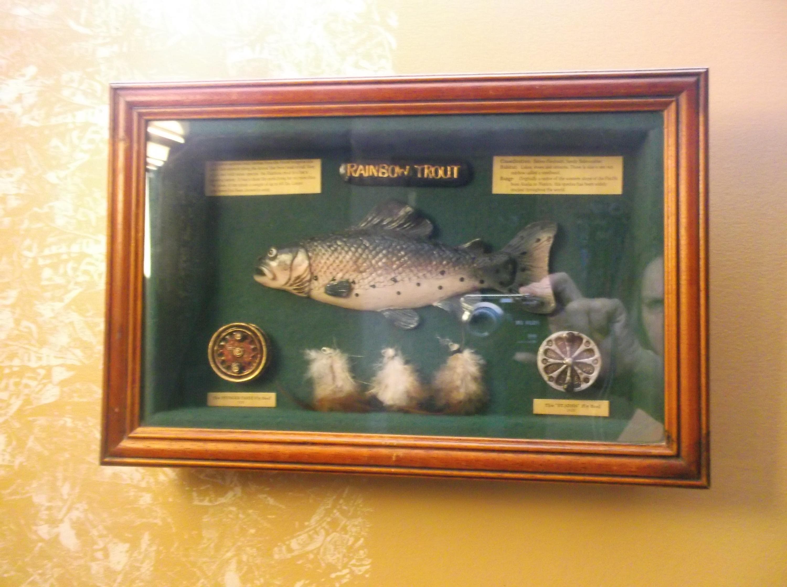 1 boîte de couleurs assorties pour la pêche à la truite et la mouche