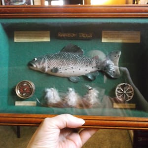 Vintage Rainbow Trout Shadow Box: Fly Fishing Display Case. Miniature fishing reel, lures, faux fish mount. Lake Cabin decor. Northwoods