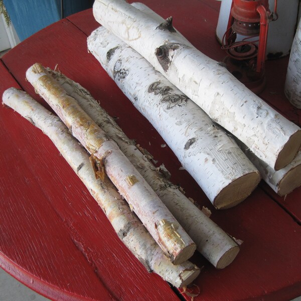 White Birch Logs Etsy