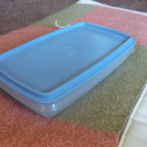 May include: A rectangular, clear plastic food storage container with a light blue lid. The lid has a slightly raised center with a circular design. The container is on a patchwork quilt with red, green, and white squares.