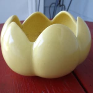 Könnte beinhalten: Eine hellgelbe Keramikschale mit gewelltem Rand. Die Schale hat eine glänzende Oberfläche und eine abgerundete, blütenblattartige Form. Die Schale steht auf einer roten Holzoberfläche.