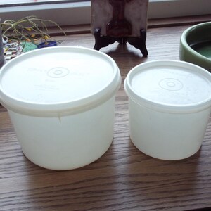 Vintage Tupperware Classic Sheer Canister Set: 263 and 250 Round Safe & Take Containers. Lids A and B. Snack Bowl. Pantry Storage Tub, cover