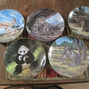 Könnte beinhalten: Fünf dekorative Keramikteller mit goldener Verzierung, jeder mit einem anderen Tier: eine Gazelle, ein Schneeleopard, ein Luchs, ein Panda und ein Känguru. Die Teller sind auf einem Holztisch mit einem bunten Stoff darunter angeordnet.