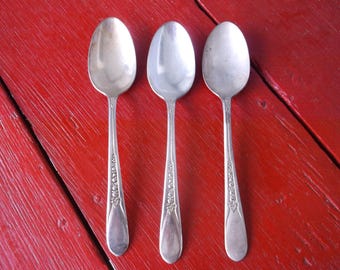 William Rogers Silver Plated Tea Spoons, Avalon Cabin Pattern Set