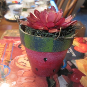 May include: A small red and green watermelon-patterned planter with a pink succulent plant inside. The planter is sitting on a book with a red cover.