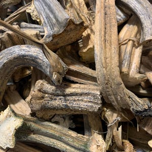 Craft Supply, 7 Real Pumpkin & squash stems; gourd tendrils. Natural real actual dried stems. Use for cloth pumpkin tops; floral arrangement